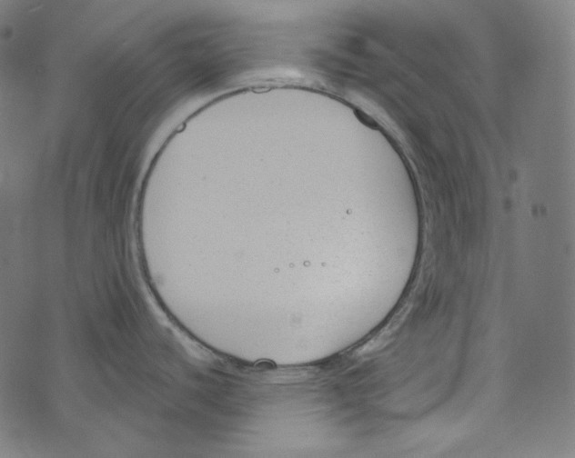 X0000073971440200609181440