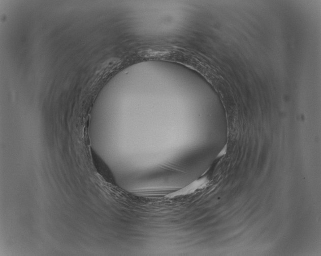 X0000073971441200609181439