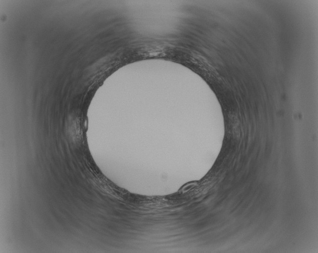 X0000073971442200609181439