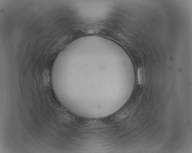 X0000073971443200609181439