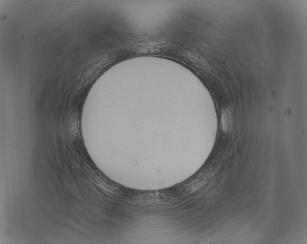 X0000073971444200609181439