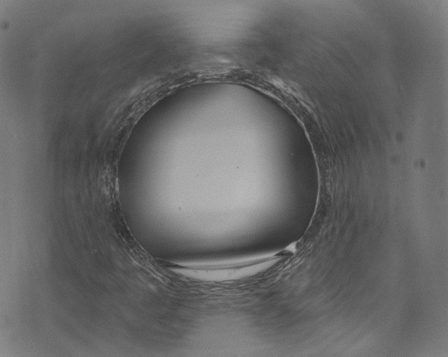 X0000073971445200609181439