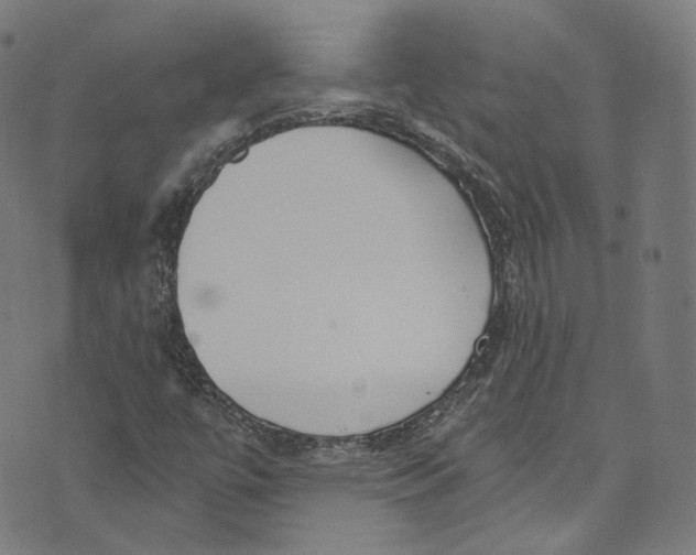 X0000073971447200609181439