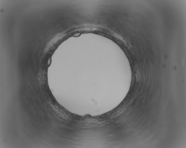 X0000073971448200609181439