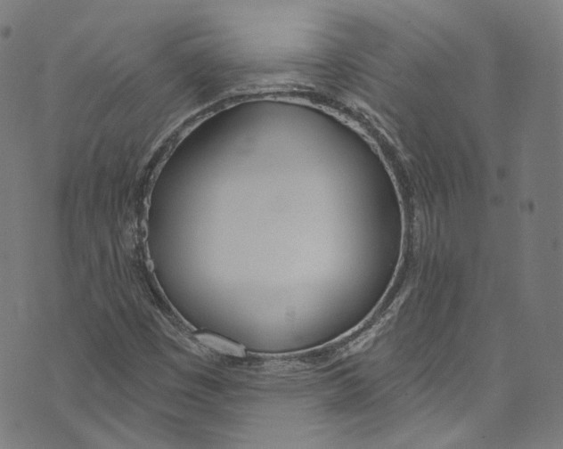 X0000073971449200609181439