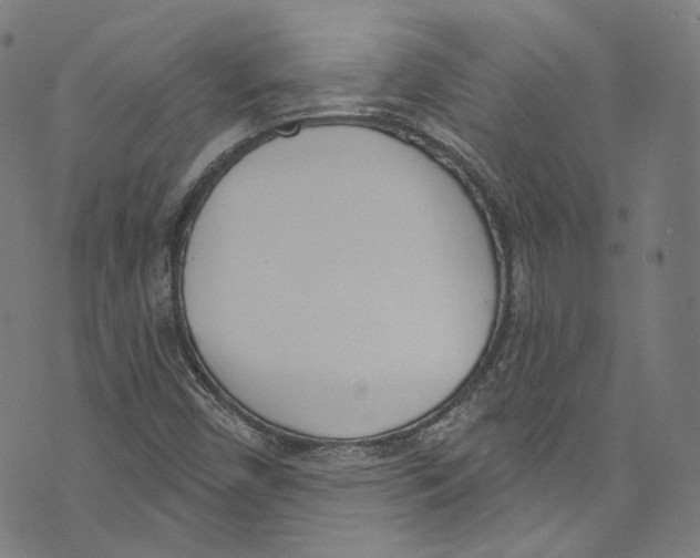 X0000073971450200609181439