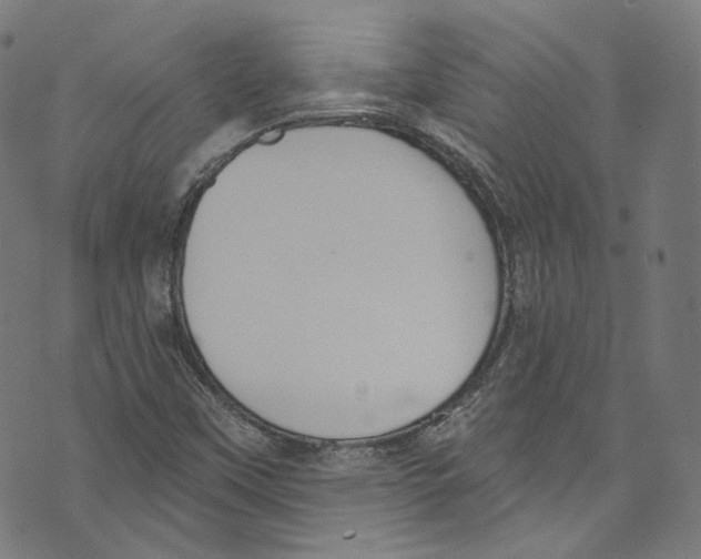 X0000073971451200609181439