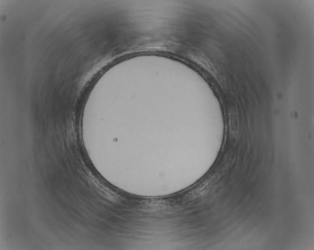 X0000073971452200609181439