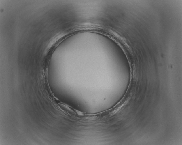 X0000073971453200609181439