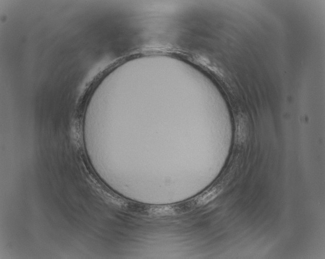 X0000073971454200609181439