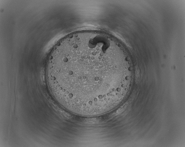 X0000073971455200609181439