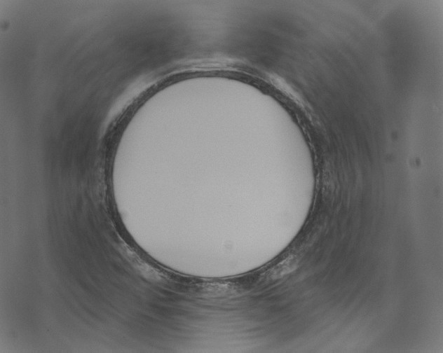 X0000073971456200609181439