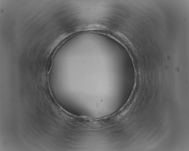 X0000073971457200609181439