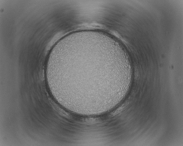 X0000073971459200609181439