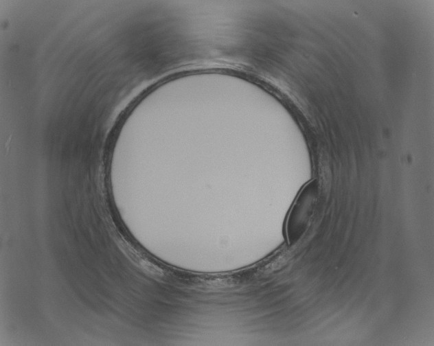 X0000073971460200609181439