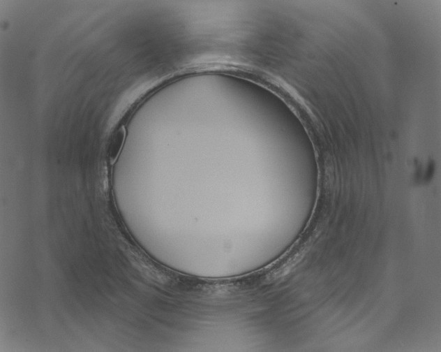 X0000073971461200609181439