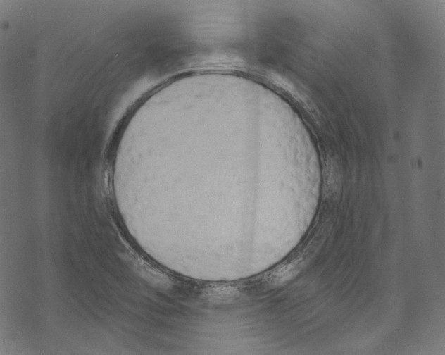 X0000073971462200609181439