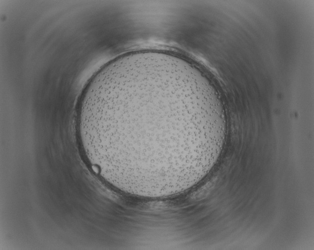 X0000073971463200609181439