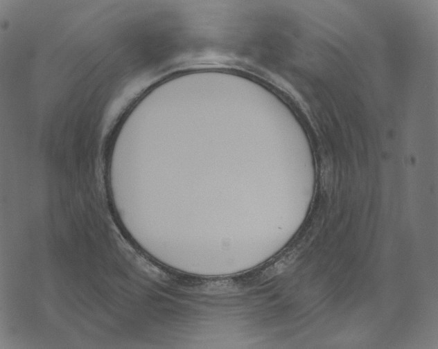 X0000073971464200609181439