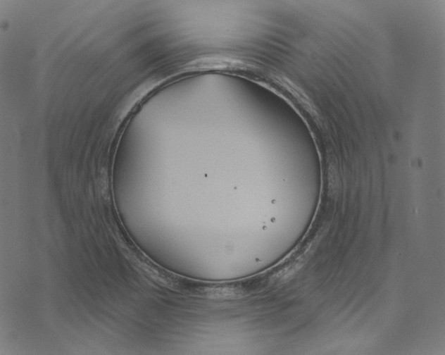 X0000073971465200609181439