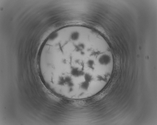 X0000073971466200609181439