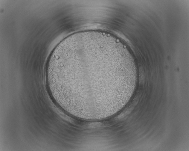 X0000073971467200609181439