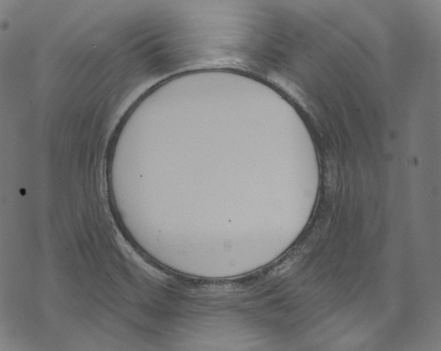 X0000073971468200609181439