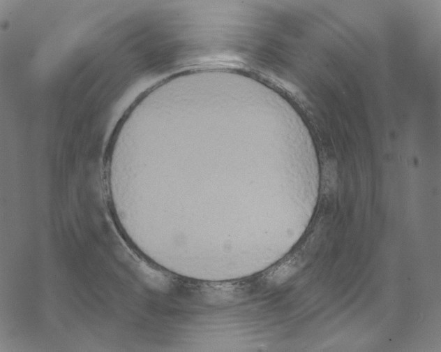 X0000073971470200609181439