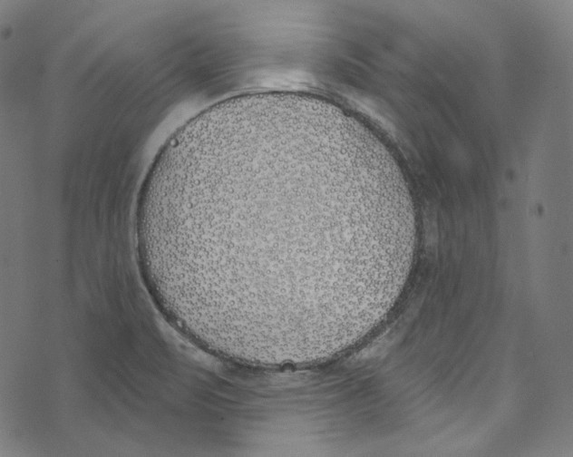 X0000073971471200609181439