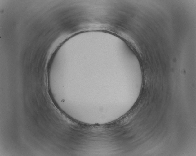 X0000073971472200609181439