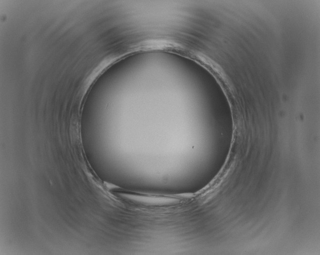 X0000073971473200609181439