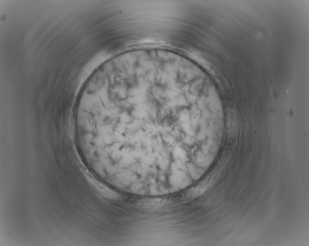 X0000073971474200609181439