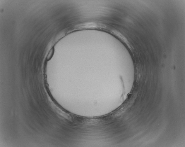 X0000073971475200609181439