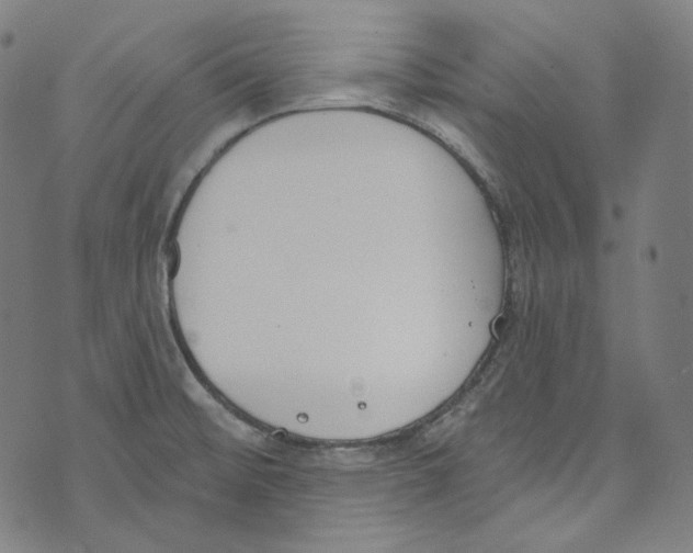 X0000073971476200609181439