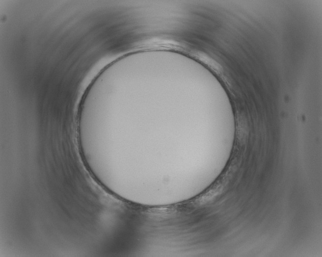 X0000073971478200609181439