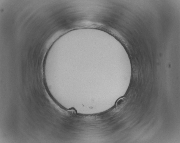 X0000073971479200609181439