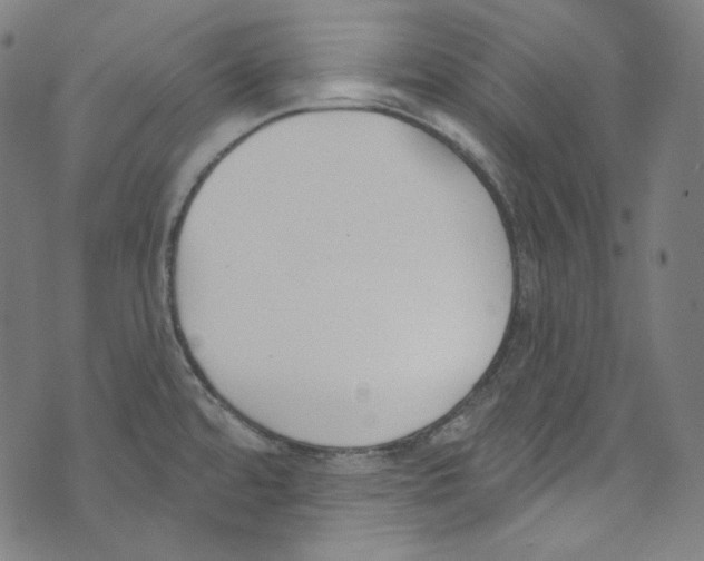 X0000073971480200609181439