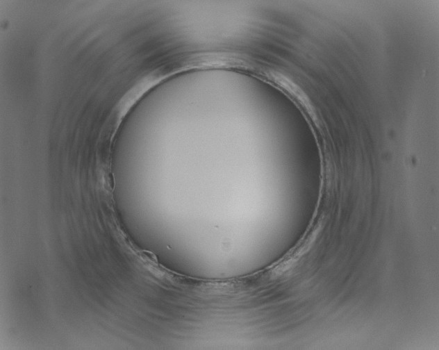 X0000073971481200609181439