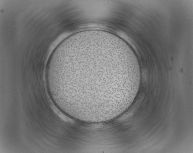 X0000073971482200609181439