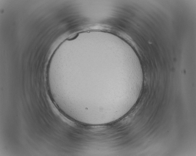 X0000073971483200609181439