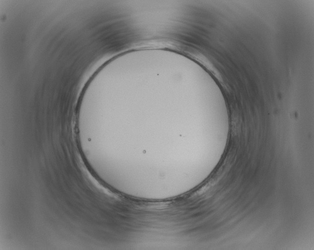 X0000073971484200609181439