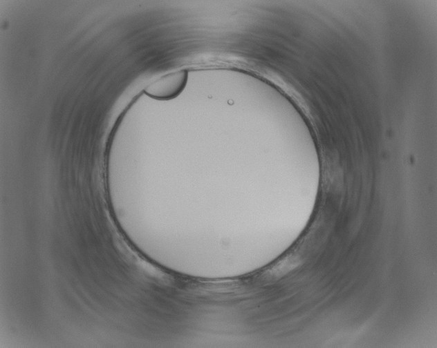 X0000073971486200609181439