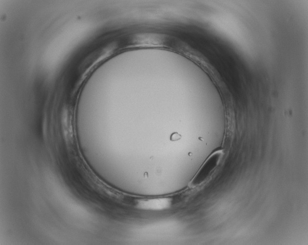 X0000073971487200609181439