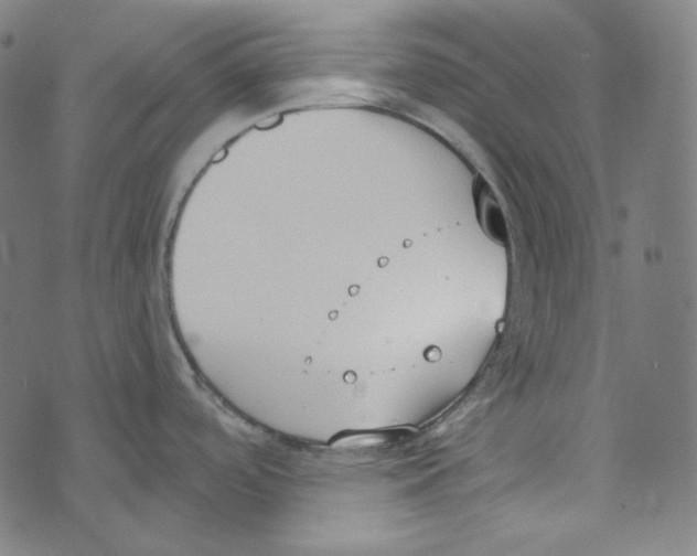 X0000073971488200609181439