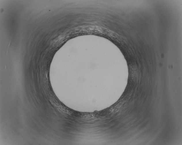 X0000073971489200609181438