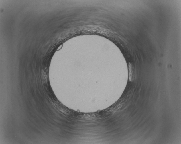 X0000073971491200609181438