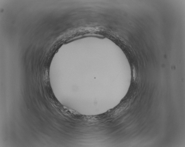 X0000073971492200609181438