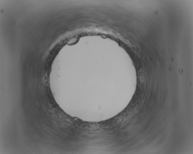 X0000073971495200609181438