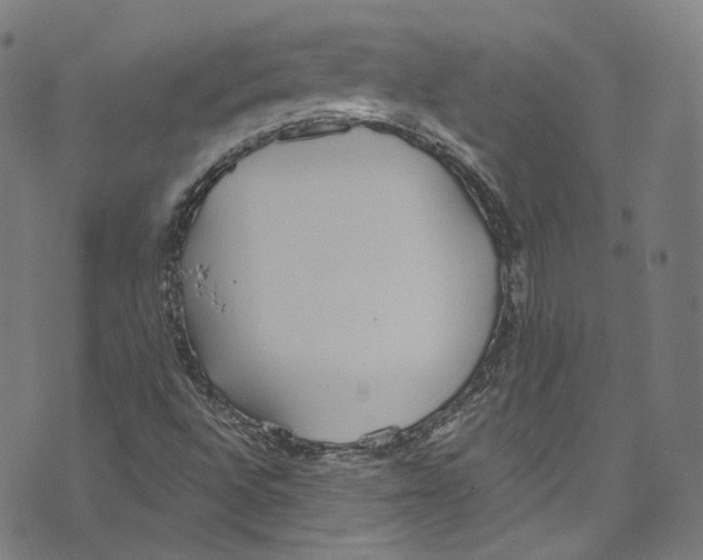 X0000073971496200609181438