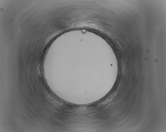 X0000073971497200609181438